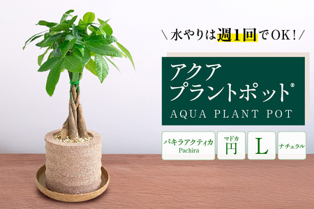 アクアプラントポット®　円Ｌ 植木鉢パキラ アクティカ（3790）