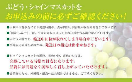 【数量限定】【2025年発送分 先行予約】シャインマスカット（５ｋｇ以上・８～１０房）　シャイン マスカット ぶどう ブドウ 葡萄 フルーツ 果物 くだもの 山梨 やまなし 富士川町