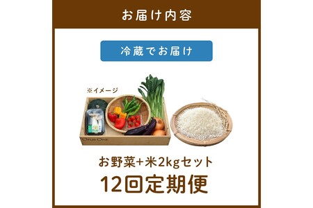 【定期便】合計12回お届け　有機野菜・京野菜の『京都やおよし』のお野菜と米2kgの詰め合わせ