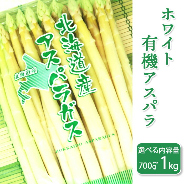 【ふるさと納税】 北海道産 有機JAS認定 有機 選べる 内容量 ホワイトアスパラ 2026年産 先行予約 新鮮 旬 お取り寄せ 産地直送 送料無料 ホワイト 特大 3L 2L L 旬野菜 【ホワイト】新見ファーム有機アスパラ新見ファームの有機アスパラ
