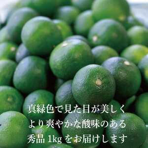 すだち 1kg 秀品 2026年9月発送 すだち