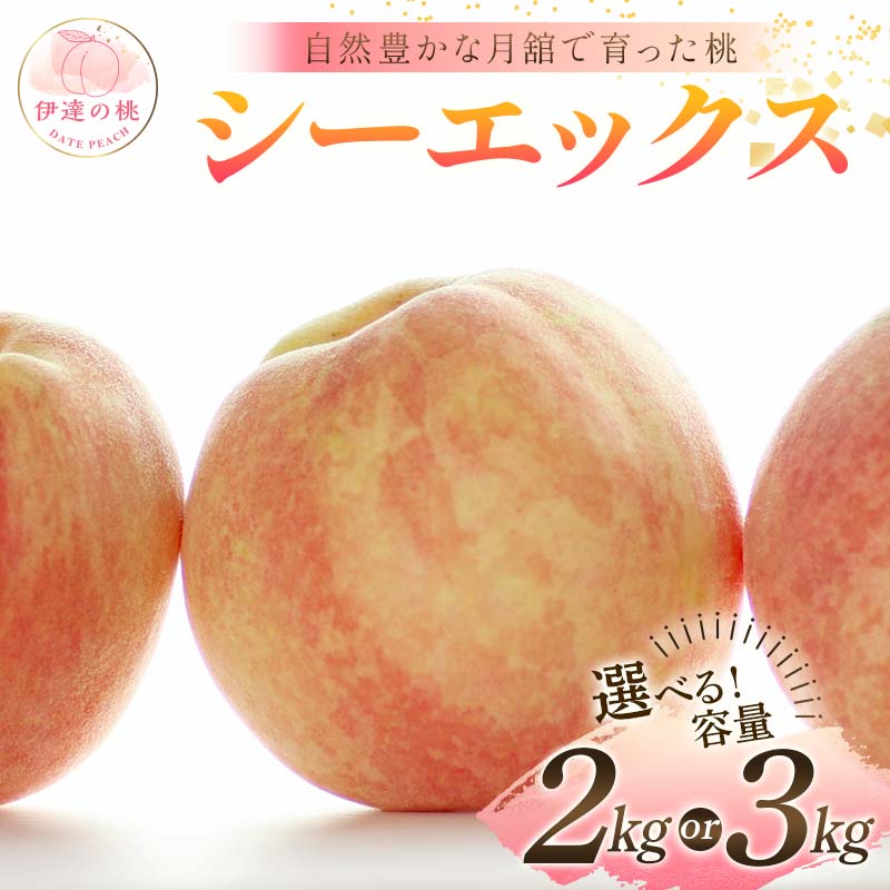 【ふるさと納税】≪2025年出荷分≫ 先行予約 自然豊かな月舘で育った桃 シーエックス 《容量が選べる》 約2kg or 約3kg 桃 もも モモ 果物 くだもの フルーツ 名産品 国産 食品 F21C-064var