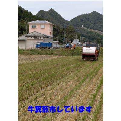 ふるさと納税 猪名川町 キヌヒカリ　令和8年産新米(玄米) |  | 03