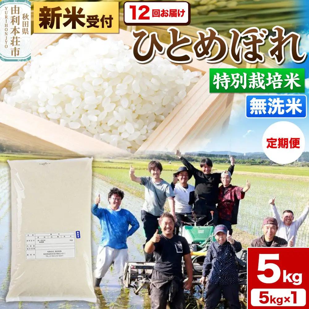 《新米予約》《定期便12ヶ月》令和8年産【無洗米】特別栽培米 ひとめぼれ 5kg 秋田県産 [ひとめぼれ 米 お米 白米 精米 無洗米 特別栽培米 ブランド米 食卓 秋田県産 秋田県 由利本荘市]