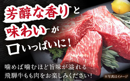 飛騨牛 もも肉 500g [TDC003] 牛肉 もも肉 