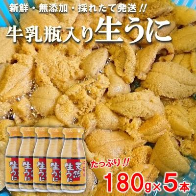ふるさと納税 普代村 北三陸産 天然生うに180g×5本(牛乳瓶入りウニ) うに瓶詰め
