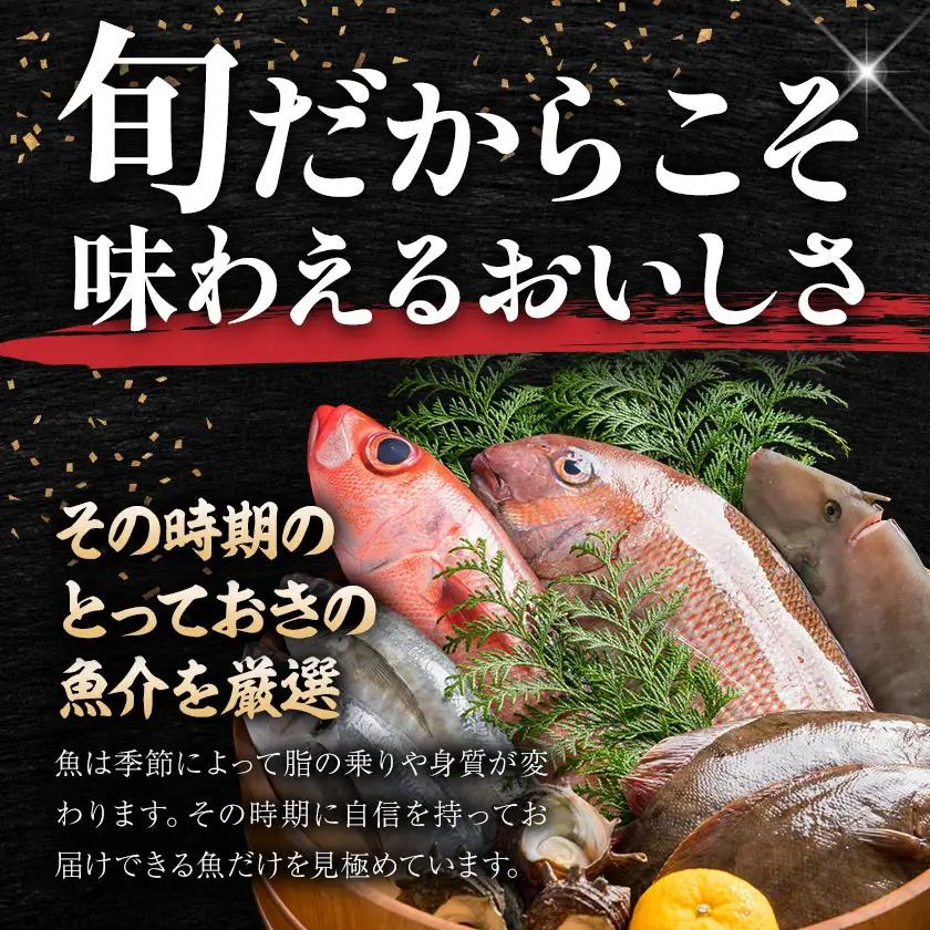 海鮮 海鮮詰め合わせ セット A おまかせ 3～4種 下処理済み 石崎水産