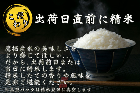 A284 　【 令和6年産 】 ゆめぴりか （ 精 白米 ） 特Aランク 北海道 米 を代表する人気の品種 真空パック 5kg×2袋 10㎏ 北海道 鷹栖町 たかすのお米 米 コメ こめ ご飯 白米 