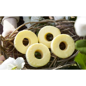 先行予約 バウムクーヘン レモンバウム 4個セット 季節限定 お菓子 バウムクーヘン