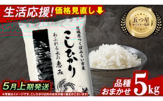 【 5月上期発送 / 数量限定 】茨城県産 精米 5kg (品種おまかせ） 令和6年産 こしひかり 米 コメ こめ 単一米 限定 茨城県産 国産 美味しい お米 おこめ おコメ