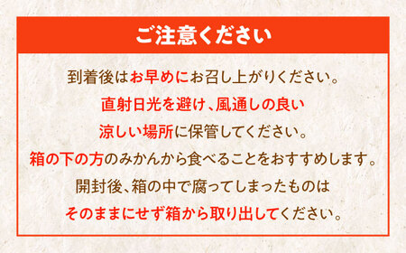 【先行予約】【12月中旬から順次発送】【ちょっと訳あり】温州みかん 愛媛県産 南柑20号 10㎏ 温州みかん みかん 柑橘　みかんジュース 愛媛みかん　愛媛県大洲市/有限会社カーム/カームシトラス[A