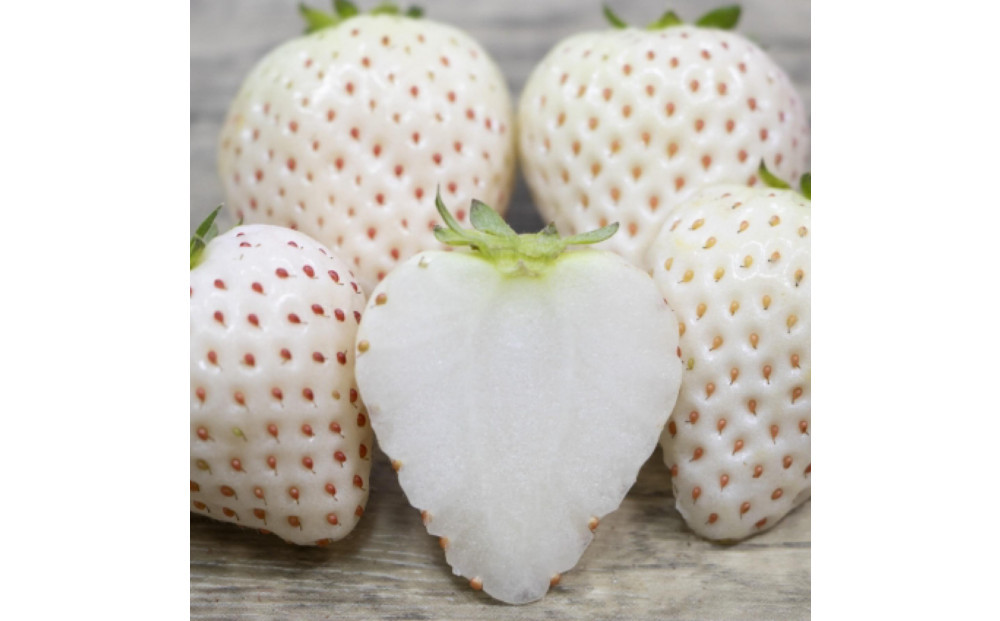 福岡県産完熟あまおう:白いちご（エンジェルエイト）各2パック（約270g×計4パック）