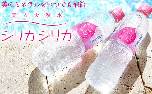 
九州天然水 シリカシリカ 500ml×48本 天然水 シリカ 軟水 ミネラル 水 飲料水 美容 備蓄 防災 大分県 玖珠町 名水百選 湧水 ナチュラルミネラルウォーター コラーゲン ケラチン 生成 サポート シリカ含有 72mg/l 国内有数 シリカ水 アクアポリン 透過性 秋田県立大学 名誉教授 北川
