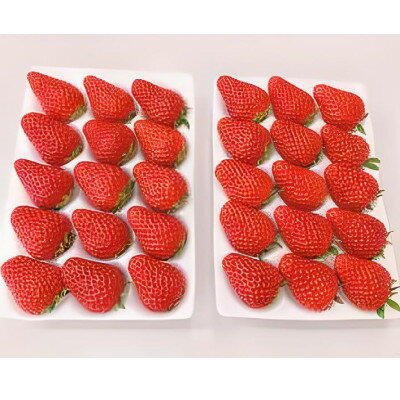 【ふるさと納税】【2026年出荷先行予約】総重量約840g【掛川市産】いちご・紅ほっぺ ホールパック　(2パック入)【配送不可地域：離島・北海道・沖縄県・四国・九州】【1635325】