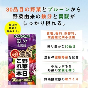 カゴメ 野菜一日これ一本 超濃縮 鉄分&葉酸 125ml 紙パック 24本入 （野菜ジュース）