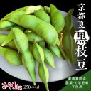 【ふるさと納税】【先行予約／数量限定50】京都夏黒枝豆さや 1kg（250g×4パック）（栽培期間中農薬・化学肥料・除草剤不使用）（2025年7月中旬～発送） 野菜 豆類 黒豆 黒枝豆 晩酌 おつまみ おかず 京都 ふるさと納税 枝豆