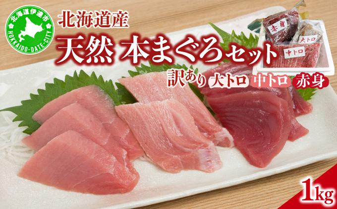 マグロ（大トロ・中トロ・赤身）訳ありセット 1kg【ogm-025】