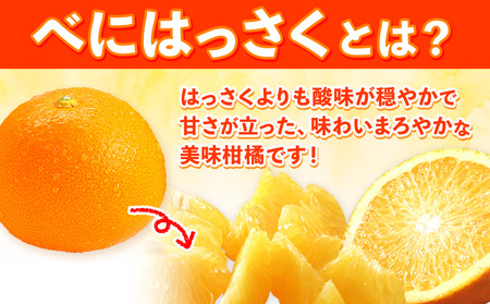 【先行予約】紅八朔(ポッポ) 約10kg JAわかやま 紀の里地域本部 