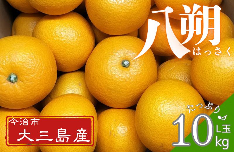 
            八朔 L玉～・10kg【K003210L10】
          