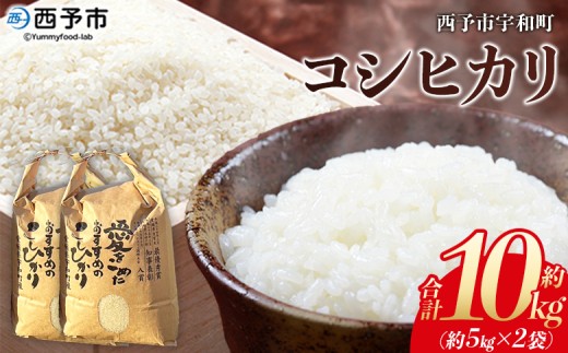 ＜令和7年産 西予市宇和町産 コシヒカリ 約10kg＞ お米 コメ こめ 白米 精米 単一原料米 ご飯 白飯 ごはん 穀物 コシヒカリ こしひかり 朝食 特産品 愛媛県産 西予市産 宇和町産 三好フク【常温】