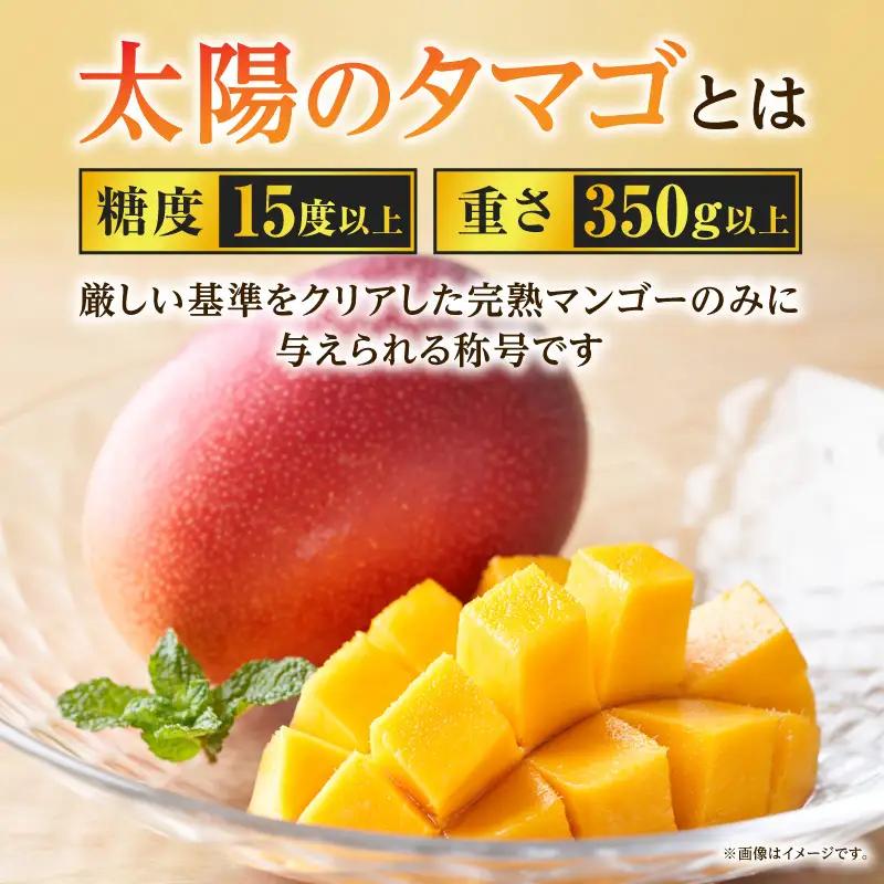 太陽のタマゴ マンゴー 太陽のタマゴ[宮崎 3L 2玉 糖度15度以上]