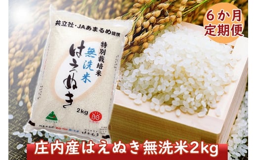 ＜11月中旬発送＞庄内米6か月定期便！特別栽培米はえぬき無洗米2kg（入金期限：2024.10.25）