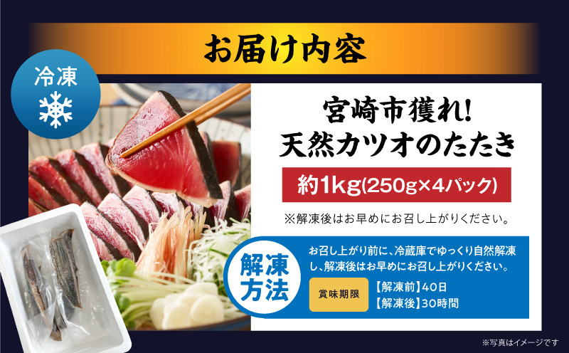 宮崎市獲れ！天然カツオのたたき カツオ タタキ 魚
