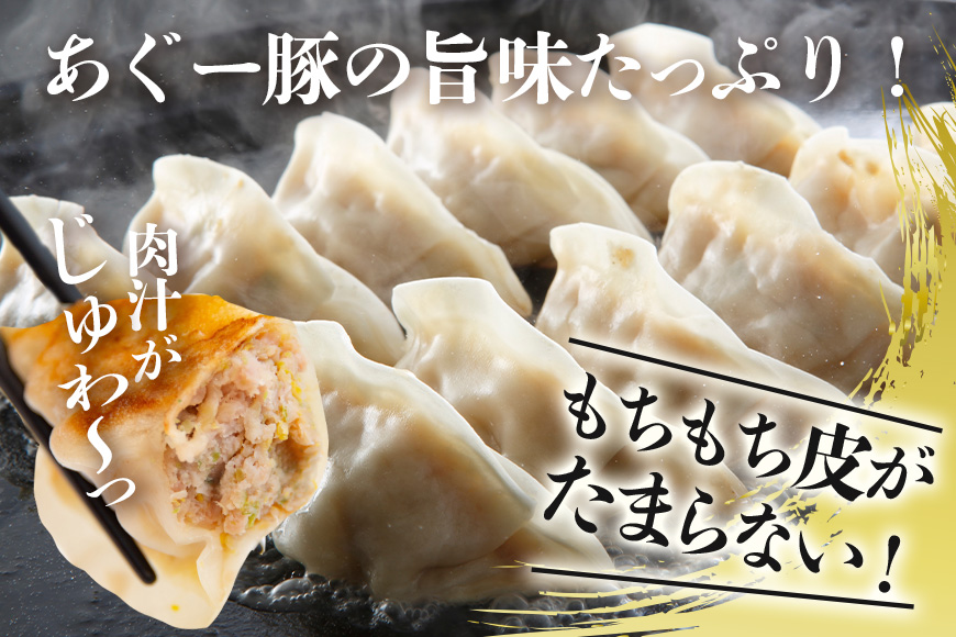 美ら島あぐー餃子 100個セット 20個入×5パック 絶品 こだわり 豚 肉 国産 ごはん おかず お弁当 冷凍 ぎょうざ ギョウザ 小分け BBQ ギョーザ 惣菜 晩酌 ギフト 手作り 生餃子 豚肉