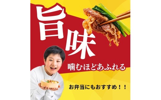 京都老舗精肉店秘伝のタレ漬け牛肉切り落とし 500g(500g×1P) 塩麴ブラックペッパー味 牛肉切り落とし こま切れ 小分け 肉料理 人気牛肉 切り落とし 500g おすすめ牛肉 牛肉冷凍 ふるさ