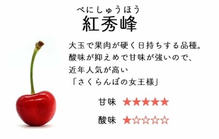 【令和7年産先行予約】 さくらんぼ 紅秀峰 LLサイズ バラ詰め 500g　山形県鶴岡産　鈴木さくらんぼ園