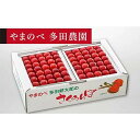 【ふるさと納税】《2025年先行予約》【佐藤錦】手詰 約500g×2【やまのべ多田耕太郎のさくらんぼ 多田農園】期間限定 数量限定 山形県産 サクランボ フルーツ 果物 くだもの F4A-0019