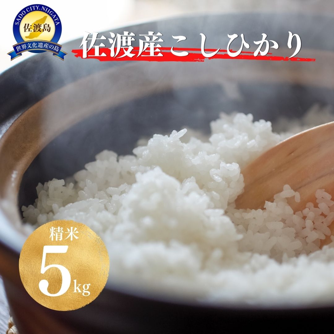 【ふるさと納税】【すぐ発送！令和7年産】佐渡地区産コシヒカリ 精米5kg 単一原料米 産地指定米195978-0009