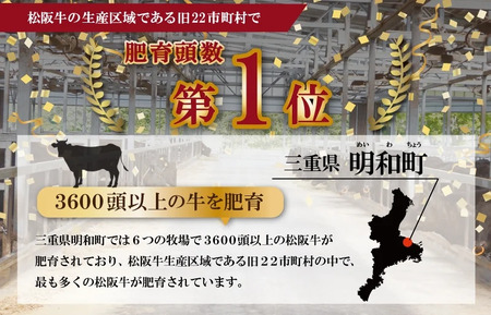 特産松阪牛ロースしゃぶしゃぶ用300g　NT4