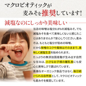 無添加生麦みそ 5.2kg 750g ×7パック 味噌 みそ 麦みそ 無添加 生 味噌汁 みそ汁 大豆 麦 スープ 調味料 減塩 甘口 糀 こうじ 田舎 国産 愛媛 愛南町 マルマサ醤油