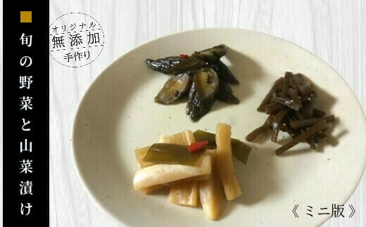 ふるさとの漬物・惣菜セット　やまあい母さんのまごころ便（ミニ版）【添加物不使用／安心・安全】