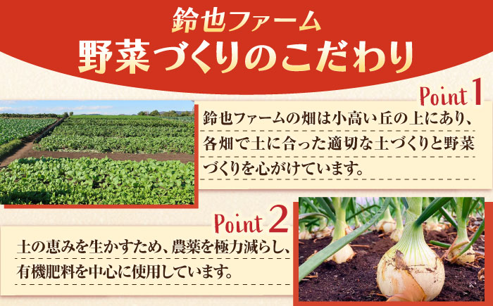 【先行予約】【全2回定期便】冬の汎用野菜セット（5～6品目）冬（12月～1月）【鈴也ファーム】 [AKCE027]