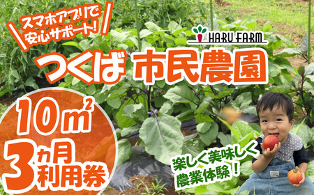 市民農園 ハルファーム 利用券 (10㎡ 3ヵ月分)【農園】