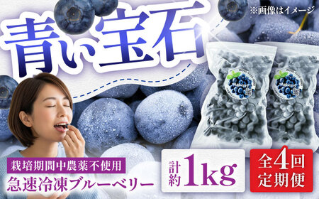 【全4回定期便】青い宝石 国産 急速冷凍ブルーベリー 計約1kg（約500g×2袋） 果物 くだもの フルーツ ぶるーべりー 熊本県 菊陽町【アグファーム株式会社】[BHCX012]