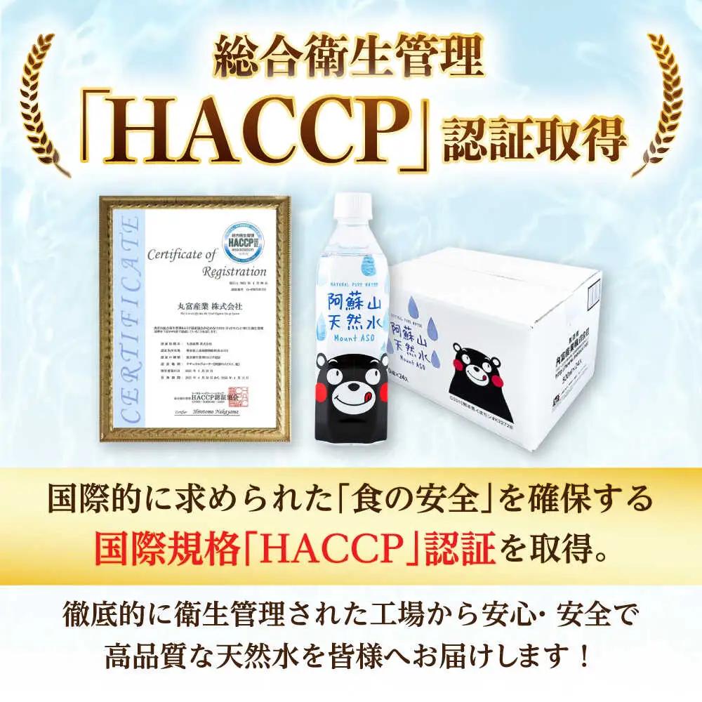 阿蘇山天然水 500ml 計48本(24本×2ケース)  BHDG003 ペットボトル ペットボトル