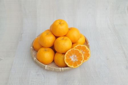 S040-012A_訳あり 農家の手摘み 太田 ポンカン10kg〈先行受付〉