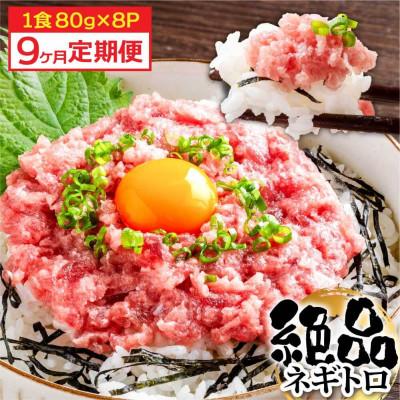ふるさと納税 芸西村 【毎月定期便】まぐろのネギトロ1食80g個食用8食分(約640g)【t266kyf】全9回