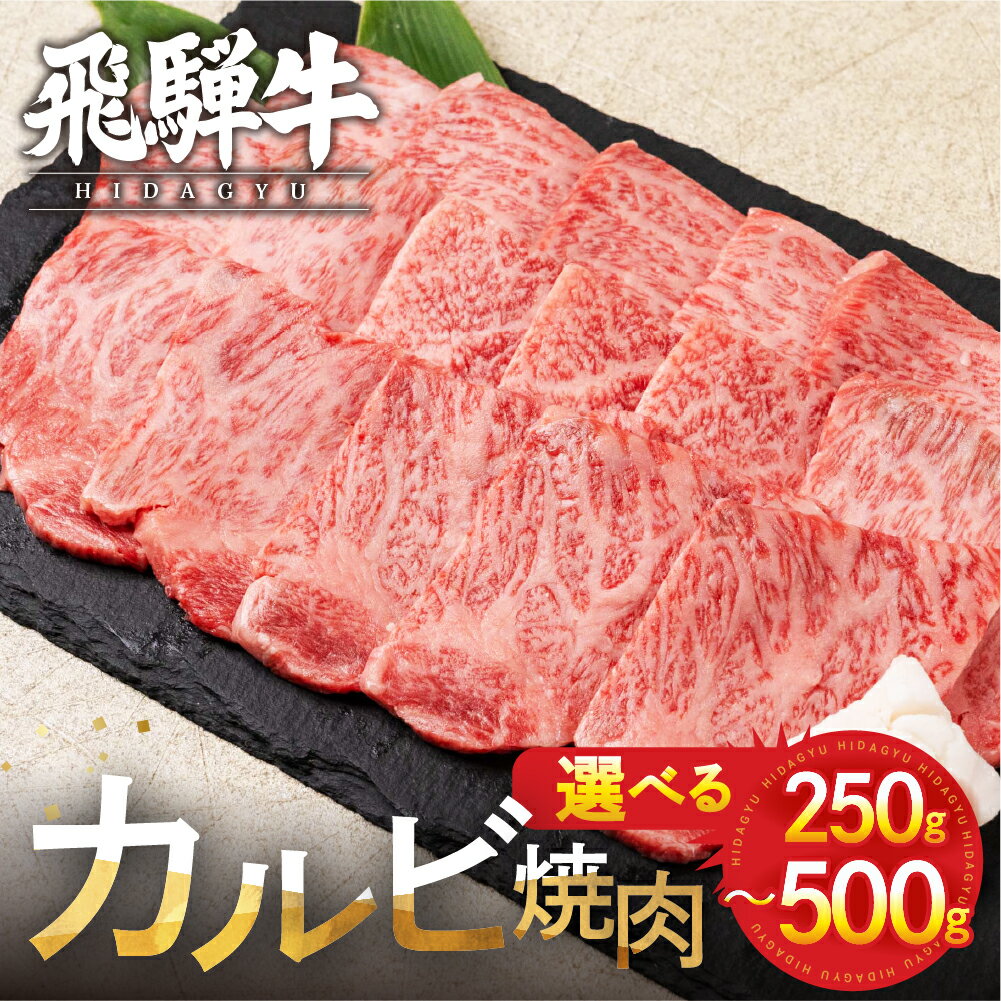 【ふるさと納税】飛騨牛 カルビ 焼肉用 500g 250g 牛肉 和牛 肉 国産 熨斗掛け バーベキュー 焼き肉 カルビ A4 A5 化粧箱 ギフト 熨斗 人気 時間指定 冷凍便 冷凍発送[Q3002] 訳あり 不揃い お中元 ギフト 御中元 お歳暮 10000円 1万円 20000円 2万円