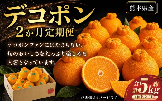 【 2か月定期便 】 熊本 デコポン 定期便 （ 3月 ・ 4月発送 ） 果物 フルーツ 果実 果汁 果肉 国産 柑橘 冷蔵 定期 定期配送 旬 旬の果物
