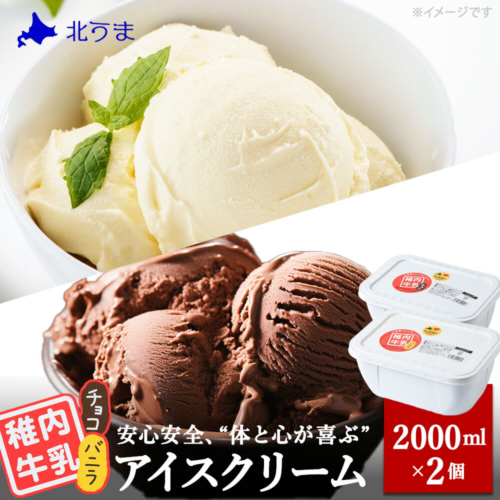 【ふるさと納税】【業務用】稚内牛乳アイスクリーム2000mlバニラ×チョコ2個セットアイス アイスクリーム スイーツ デザート 氷菓 牛乳 北海道ふるさと納税 稚内 ふるさと納税 北海道 【配送不可地域：離島・沖縄県】