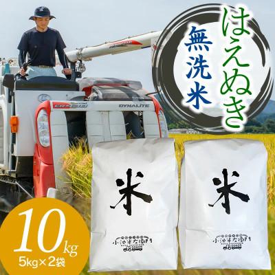 ふるさと納税 鶴岡市 【令和7年産】山形県庄内産 小池半左衛門のお米　はえぬき 無洗米 5kg×2袋 計10kg