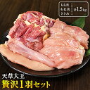 【ふるさと納税】天草大王 贅沢1羽 セット 計1.5kg 【配送不可地域：離島】あそ大王ファーム株式会社 《60日以内に出荷予定(土日祝除く)》《60日以内に出荷予定(土日祝除く)》熊本 産山 鶏 鶏肉 もも むね ささみ