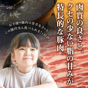甲州乳酸菌豚クリスタルポークしゃぶしゃぶセット 1.5kg（バラ 500g+ロース 500g+モモ 500g） しゃぶしゃぶ 肉 お肉 1.5kg 豚バラ 豚ロース 乳酸菌 豚 脂 甘み ポーク 豚肉
