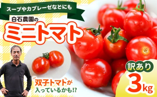 ミニトマト 訳あり トマト 約3kg  みにとまと tomato まぼろしチョイス掲載のお品！ トマト ＜白石農園＞ [CBI003] 長崎県 西海市産 トマト とまと 野菜 新鮮 旬 トマト 訳あり 不揃い 規格外 トマト フレッシュ tomato 訳あり 規格外 不揃い ミニトマト 甘い 高糖度 お取り寄せトマト 贈答トマト リピート 産地直送 新鮮 リコピン カプレーゼ 食物繊維 野菜