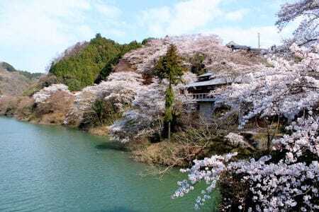 梅ピューレ  月ヶ瀬梅渓すっぴん梅 200g×2個入り
