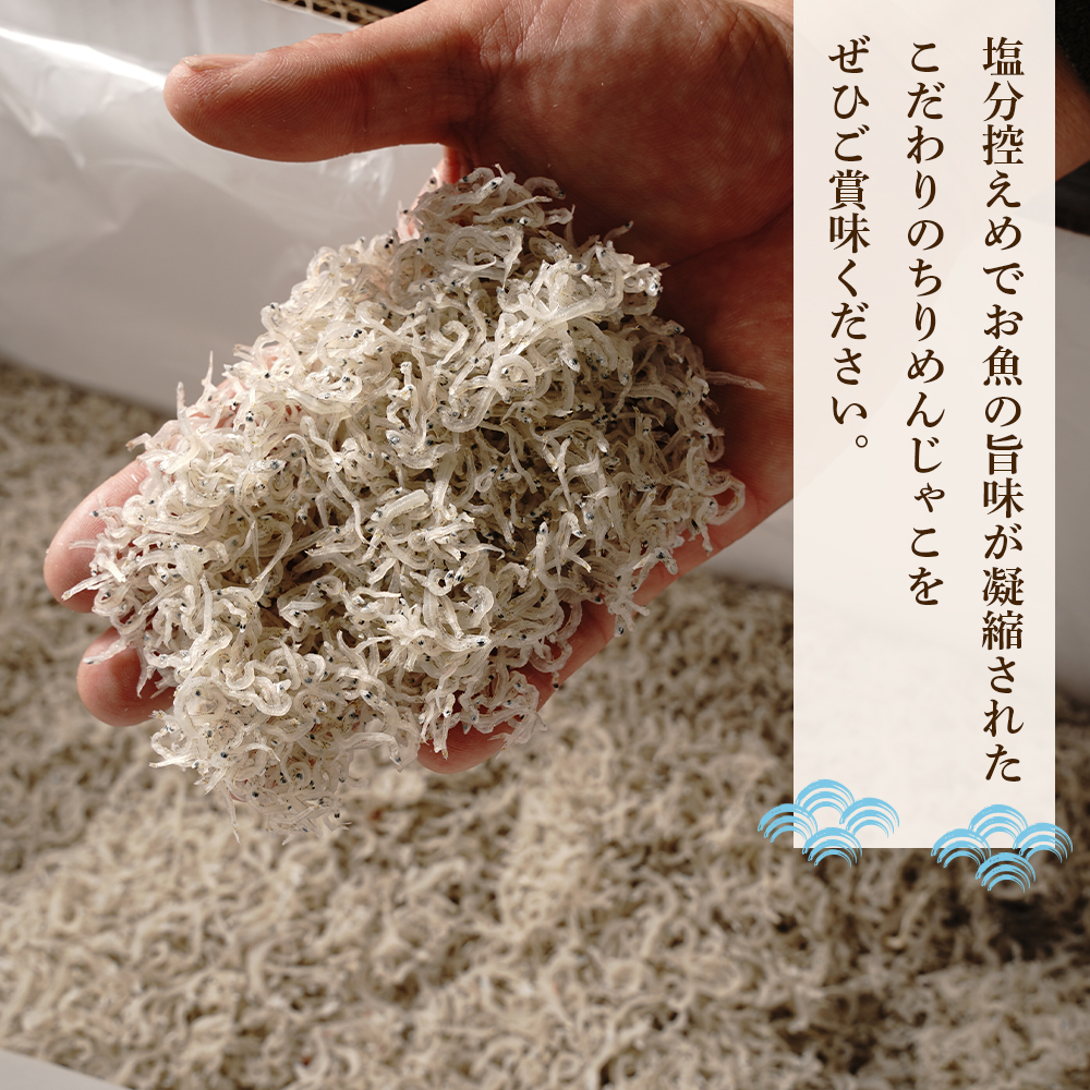淡路島産ちりめんじゃこ 500ｇ 化粧箱入　ちりめん